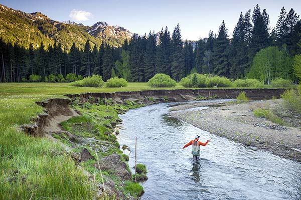 East Carson River Fly Fishing Guide Trips near South Lake Tahoe California